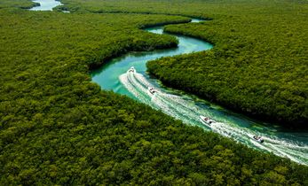 Mayan Jungle Tour 5 experiencias en 1