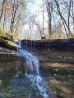 Alquiler Vacacional - Glamping Cabin golf fish Illinois river ATV, Kayak