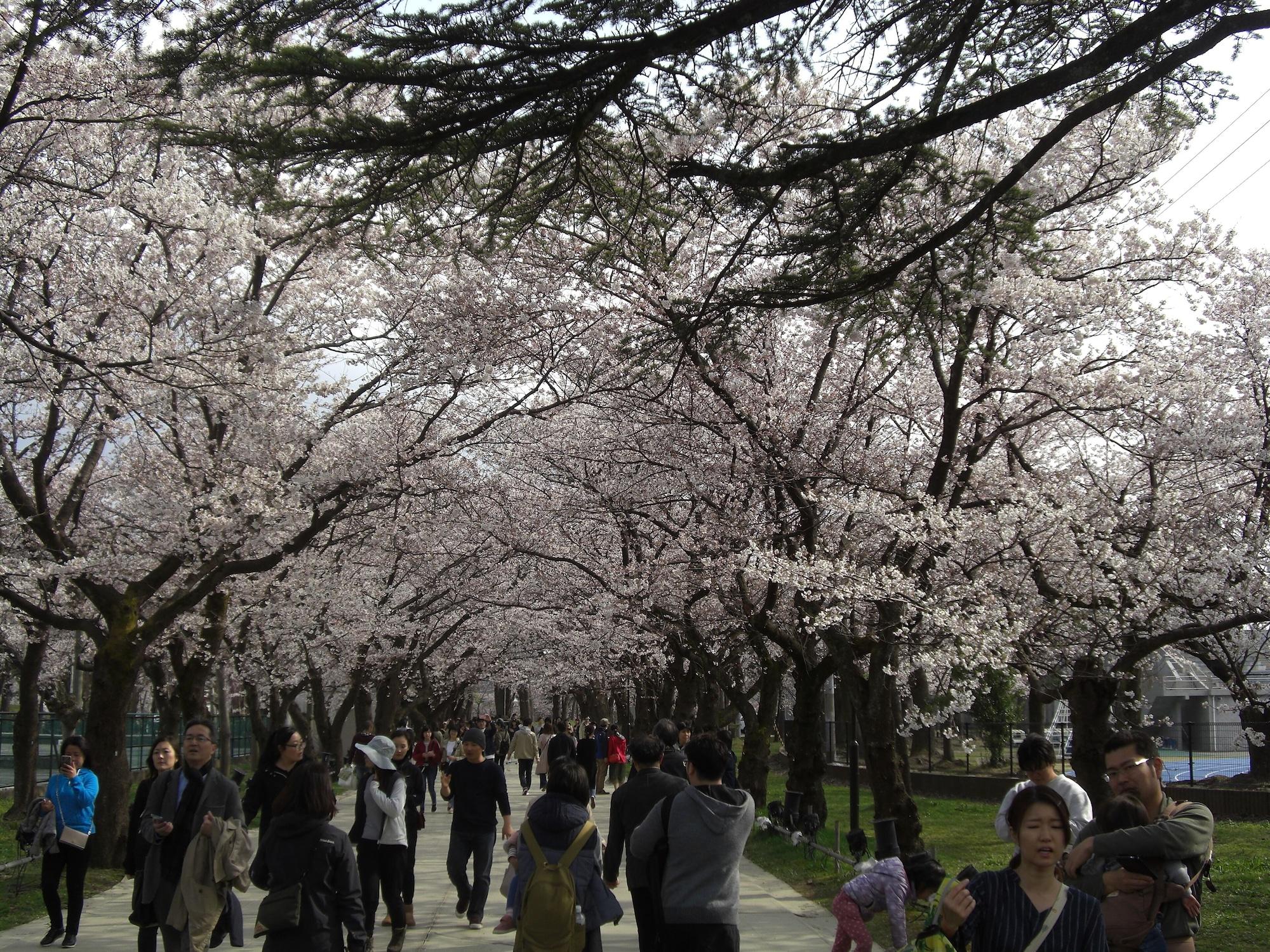 Instalaciones Recreativas Akakura Yours Inn