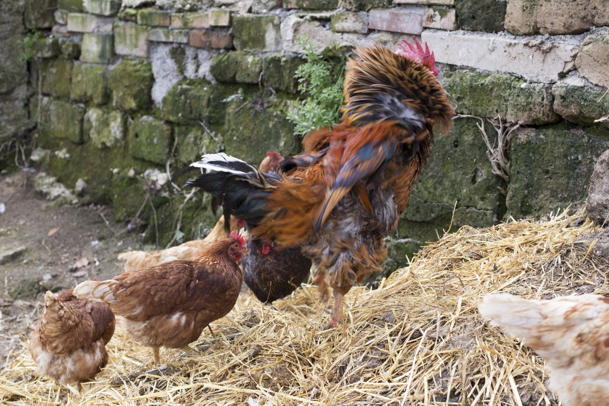 Instalaciones Recreativas Relais Donna Lucrezia