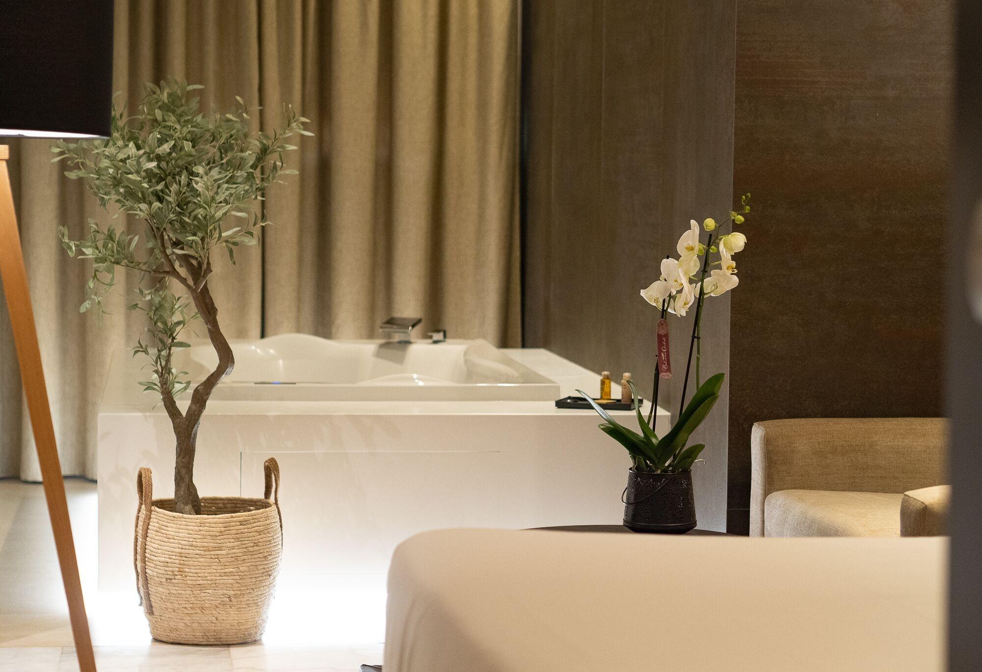 Habitación Hotel Barrameda