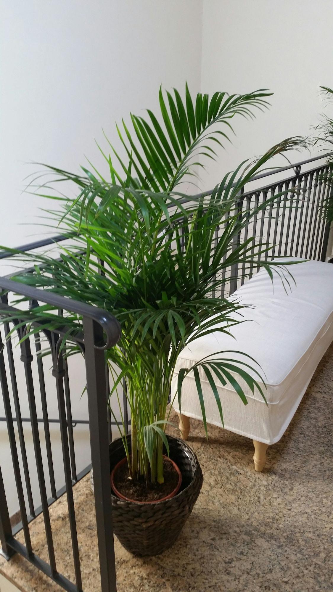 Comodidades del Alojamiento Casanova FourRooms