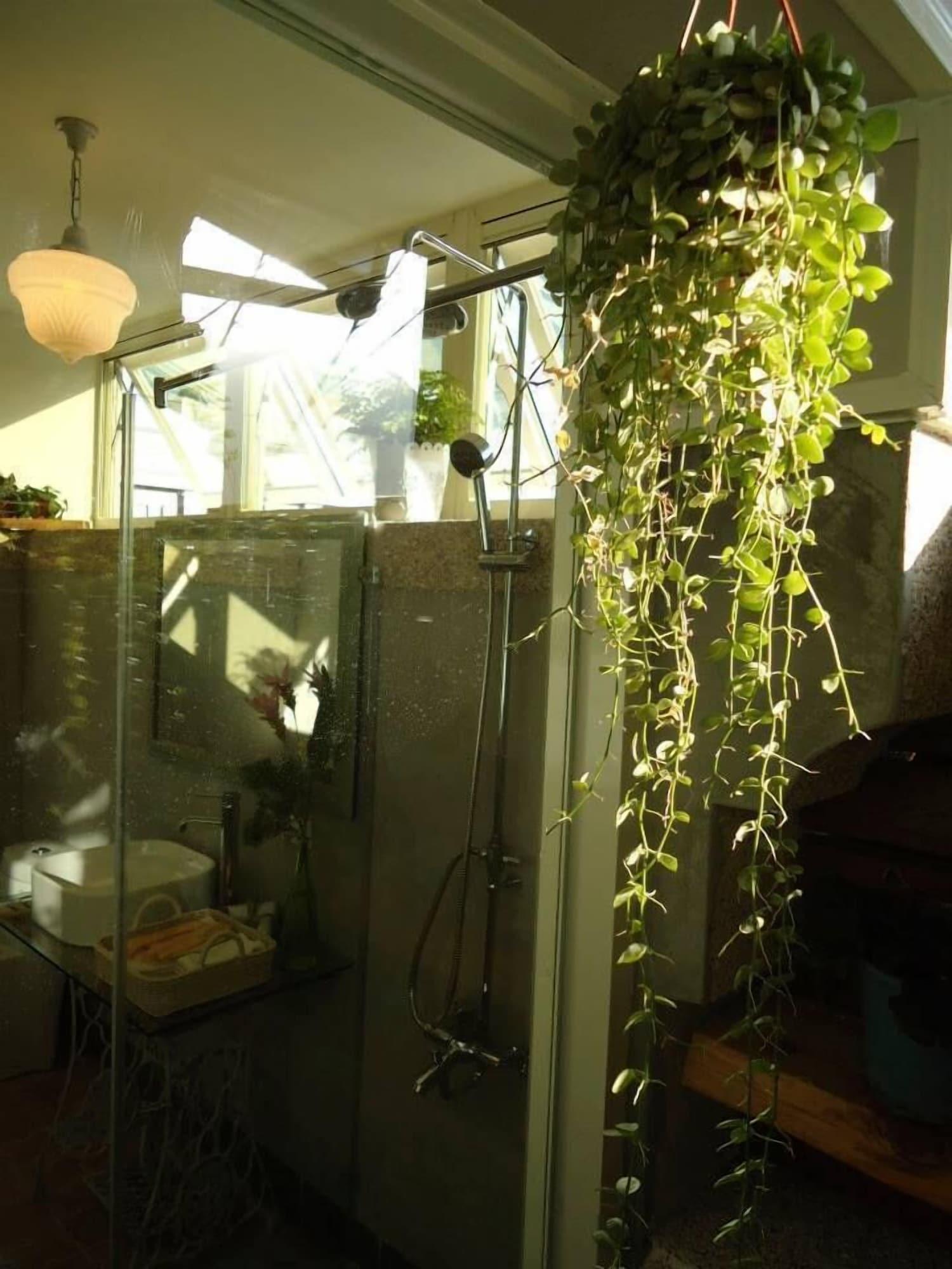 Equipamiento de Habitación Fun House Spa B&B