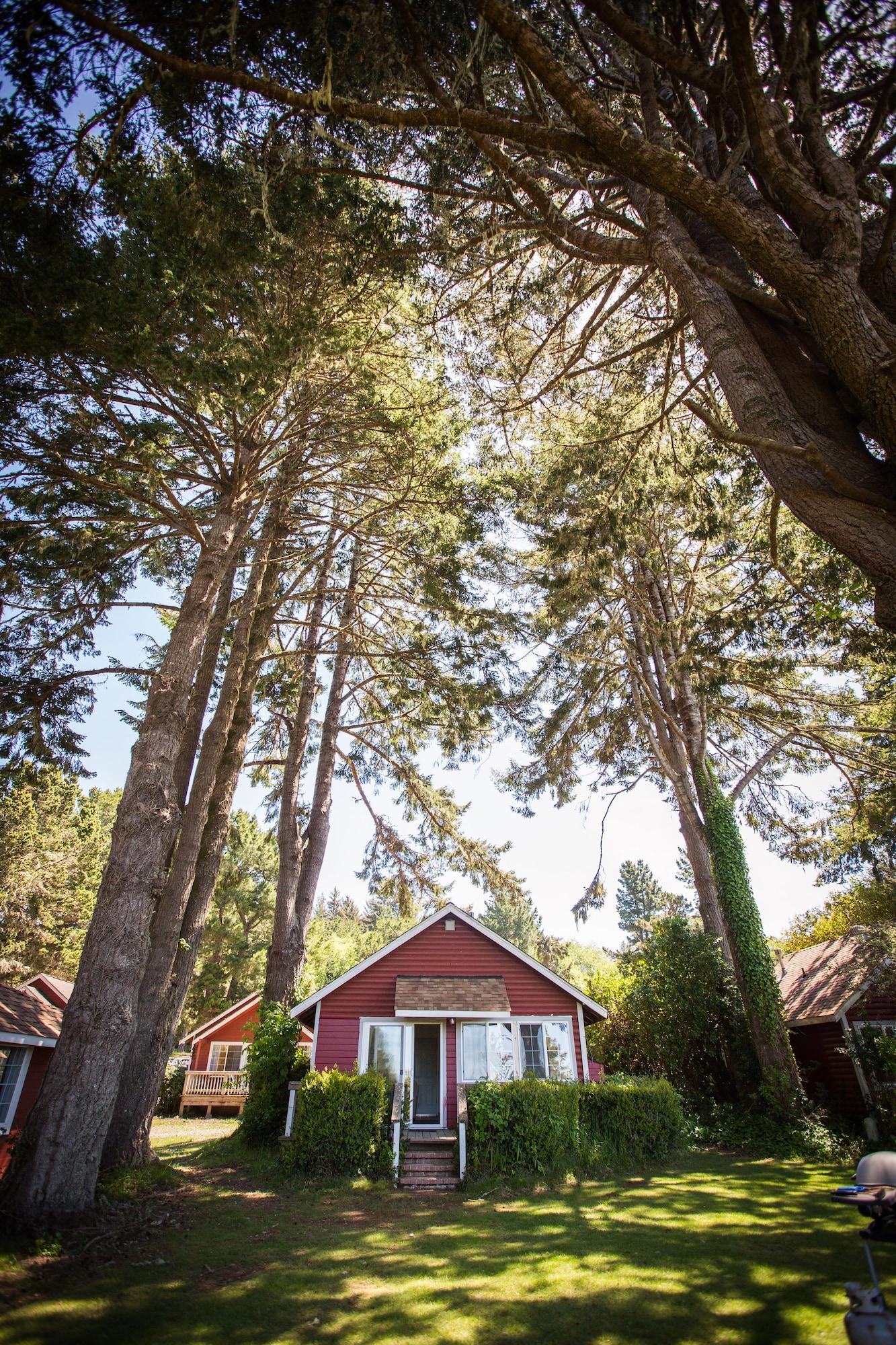 Comodidades del Alojamiento View Crest Lodge