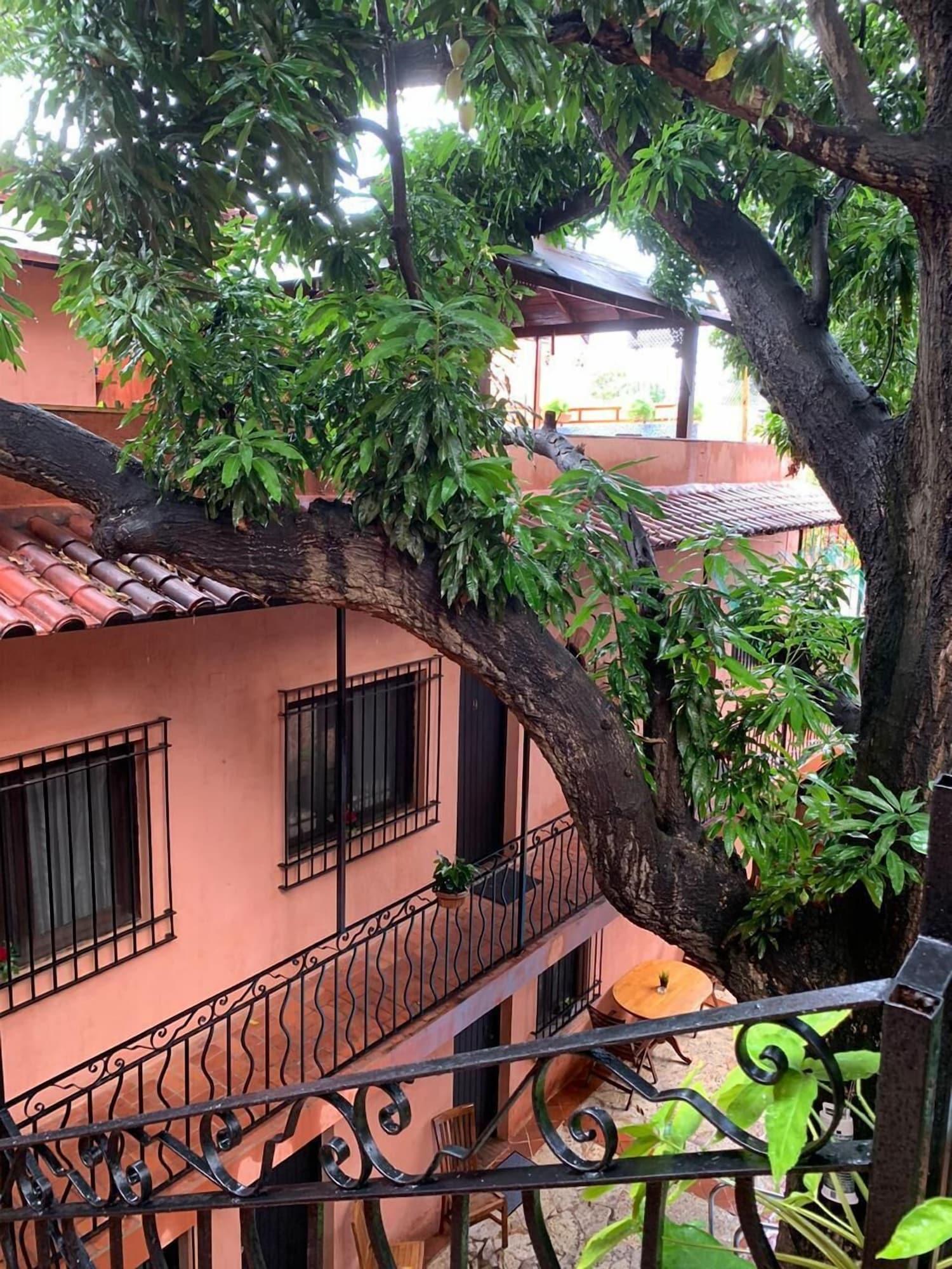 Vista Exterior Hotel Doña Elvira