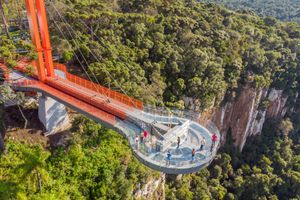 Actividad - Skyglass: Entrada + Plataforma Canela