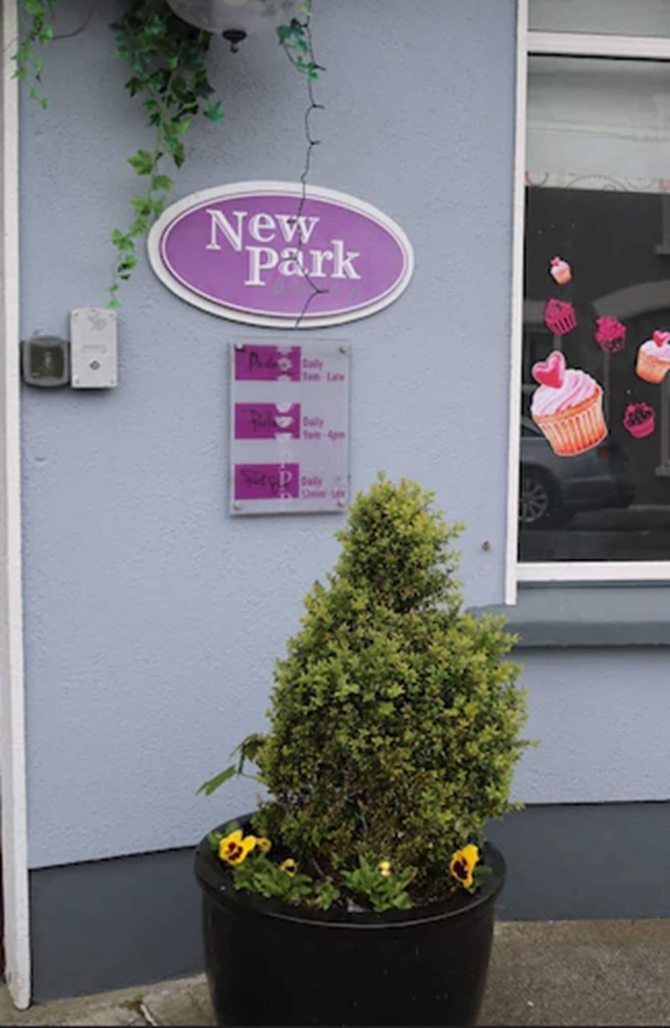 Vista Exterior New Park Hotel Athenry