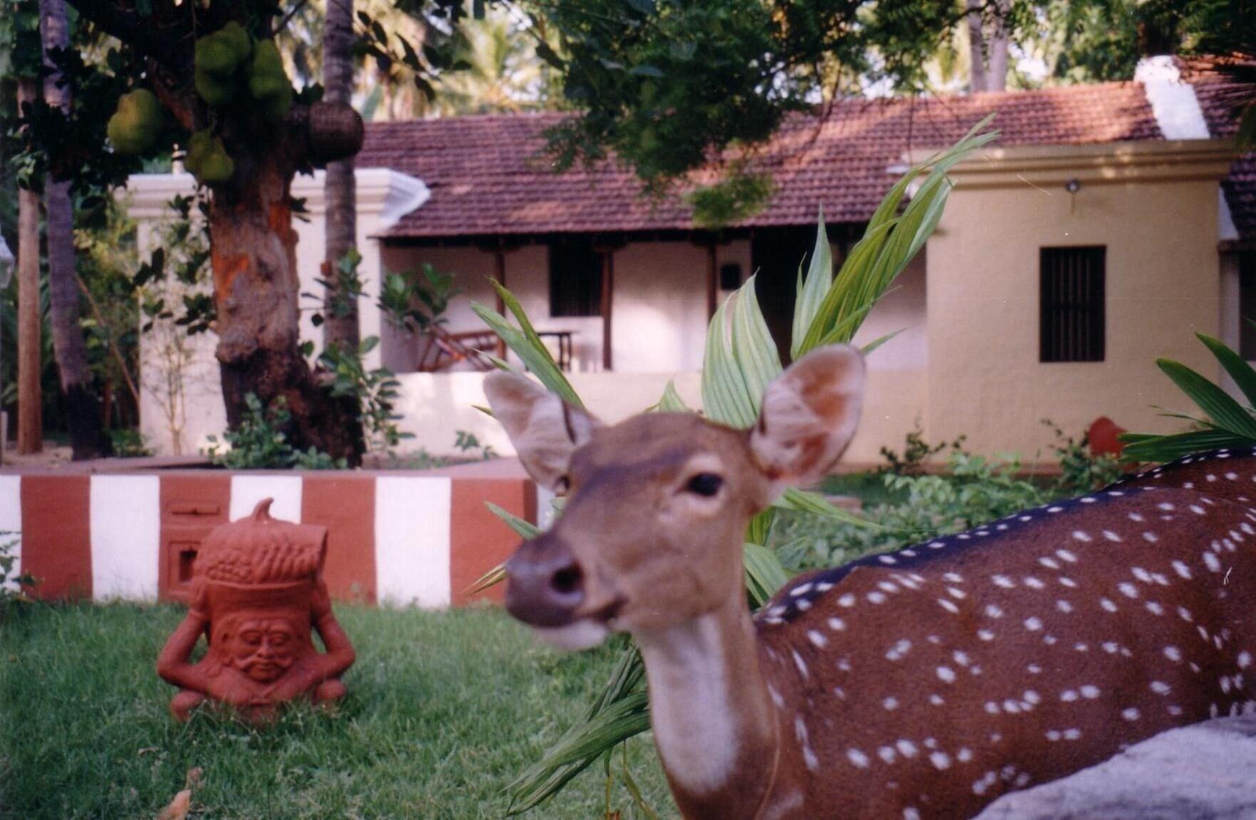 Vista Exterior INDeco Hotels Swamimalai, Kumbakonam