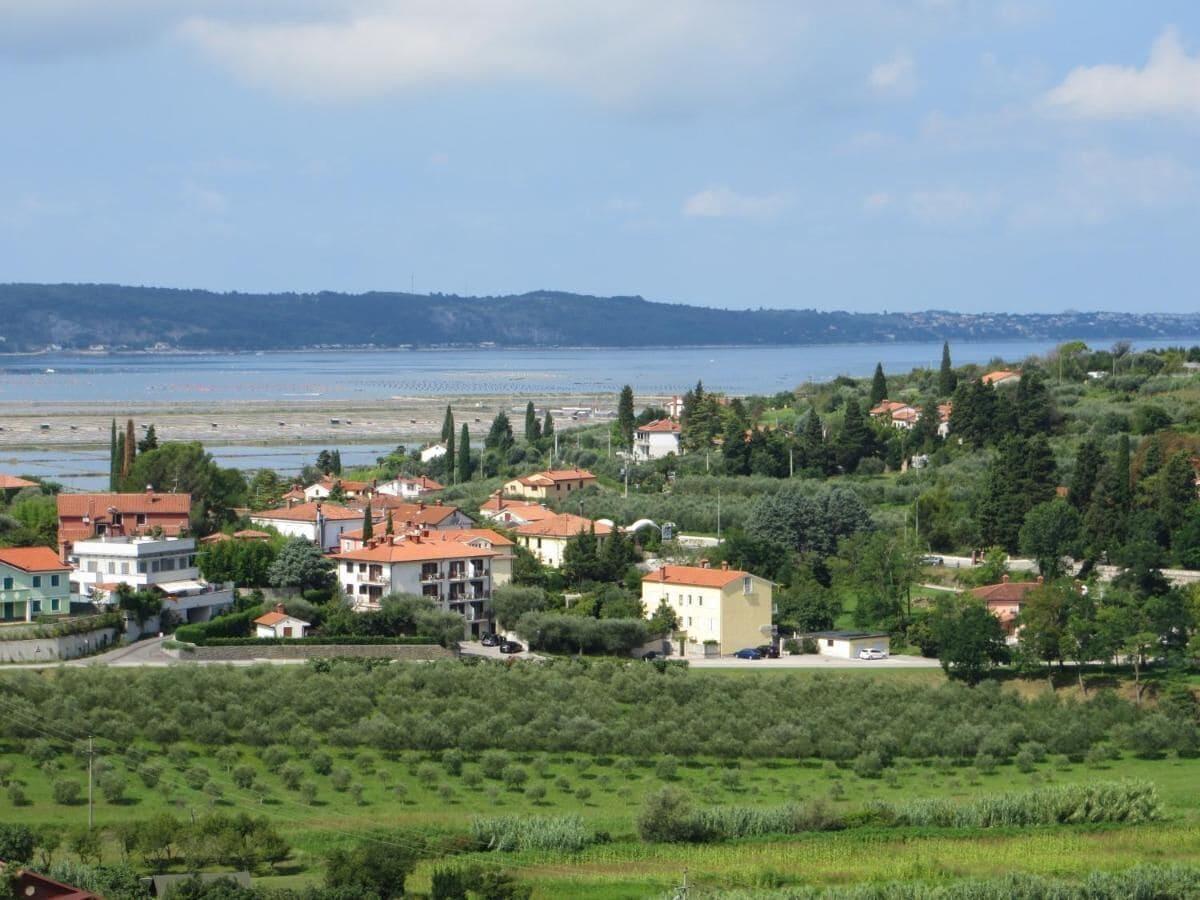 Vista Exterior Pension Kovač