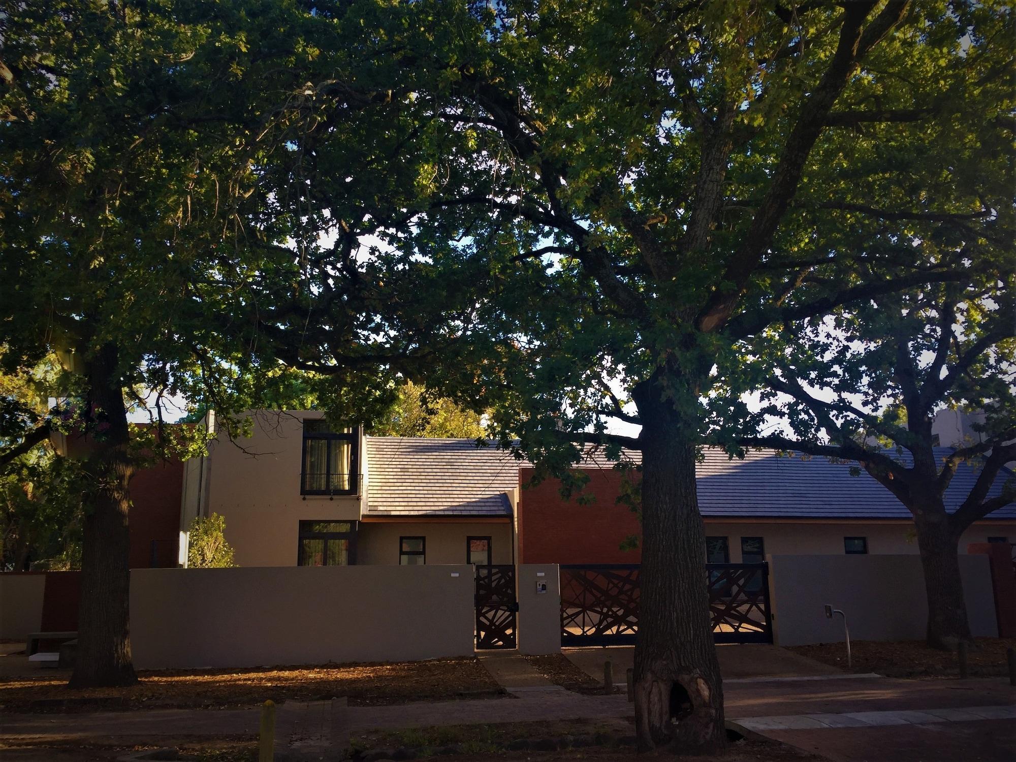 Vista Exterior Die Laan 2