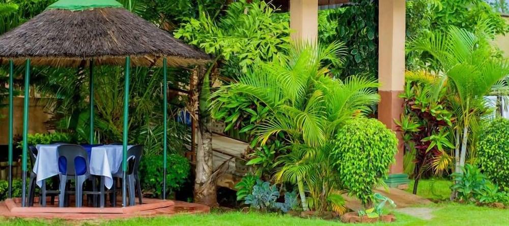 Comodidades del Alojamiento Bluegum Avenue Lodge