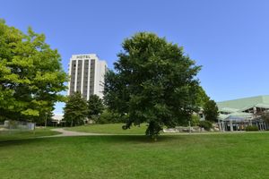 Alojamiento - PLAZA INN Leonberg