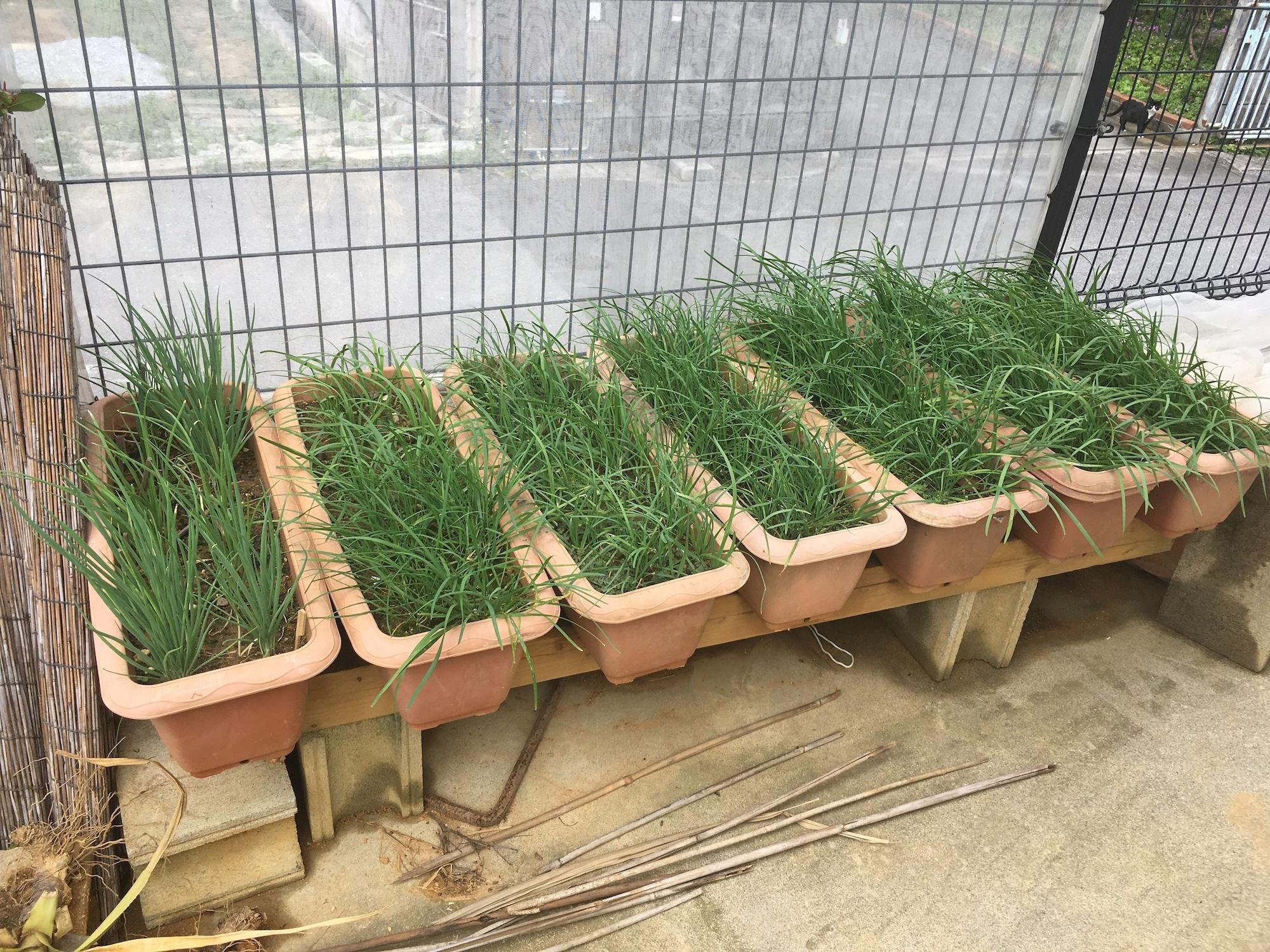 Comodidades del Alojamiento Yuntaku ya