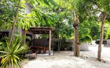Hotel Casa Tortuga Tulum Cenotes Park Inclusive
