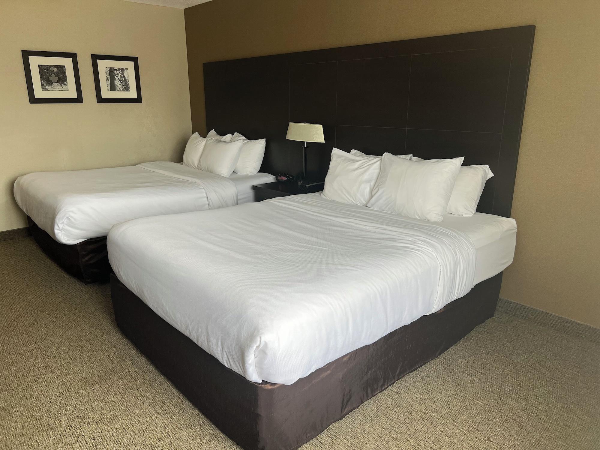 Habitación Comfort Inn
