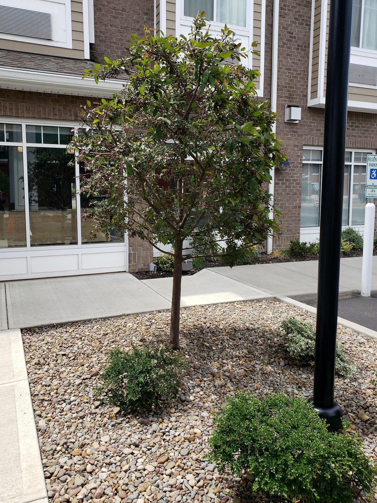 Vista Exterior Microtel by Wyndham Penn Yan Finger Lakes Region