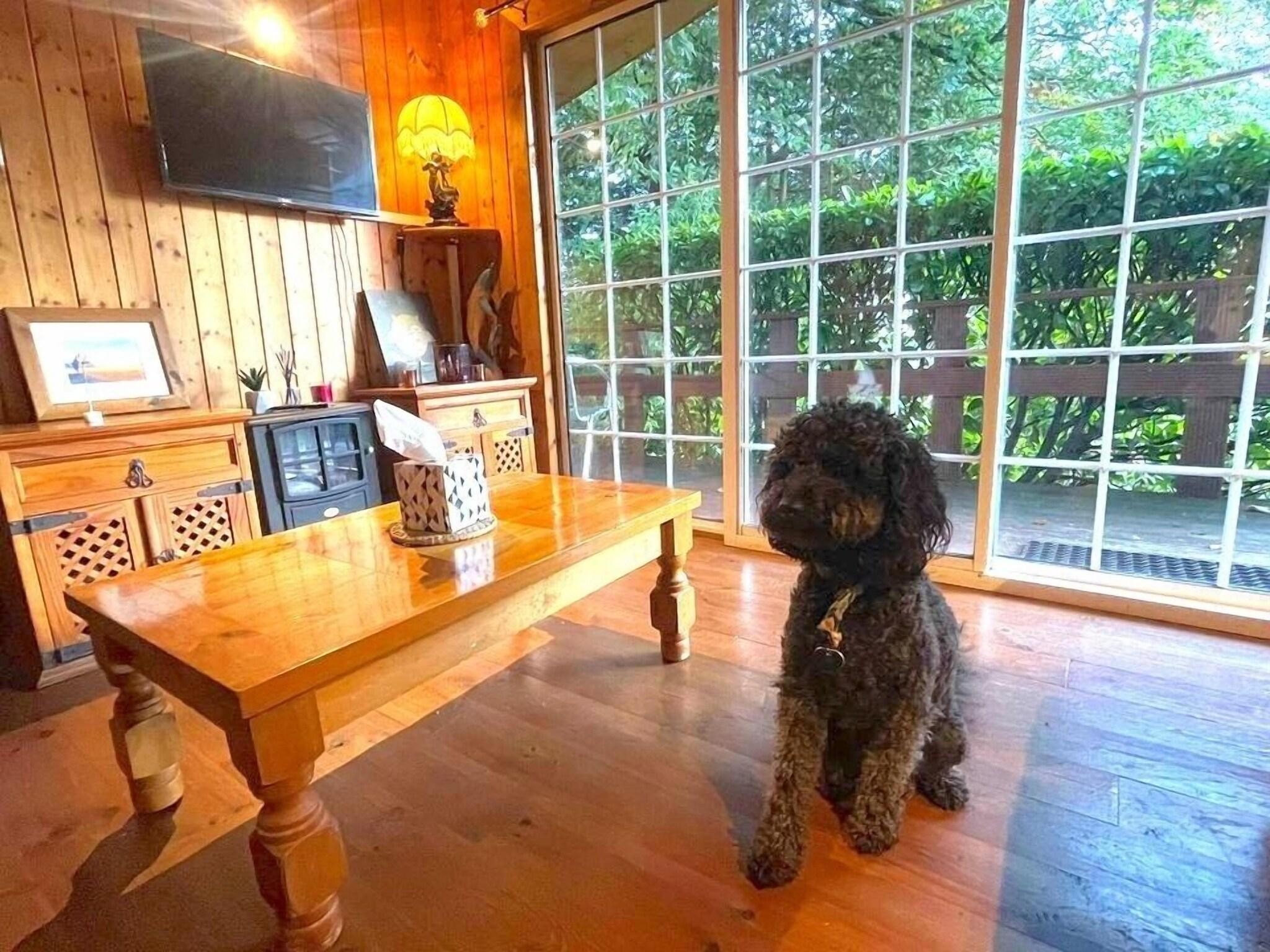 Bar/Salón Robin Hill House