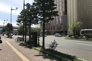 Alojamiento - Court Hotel Asahikawa