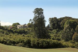 Alojamiento - Playa Maqui Lodge