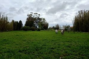 Alquiler Vacacional - Rural Cottage Minutes From Beaches, Lakes and Town