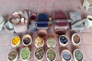 Actividad - Visita el Tule, Teotitlán del Valle, Mitla y Hierve el Agua