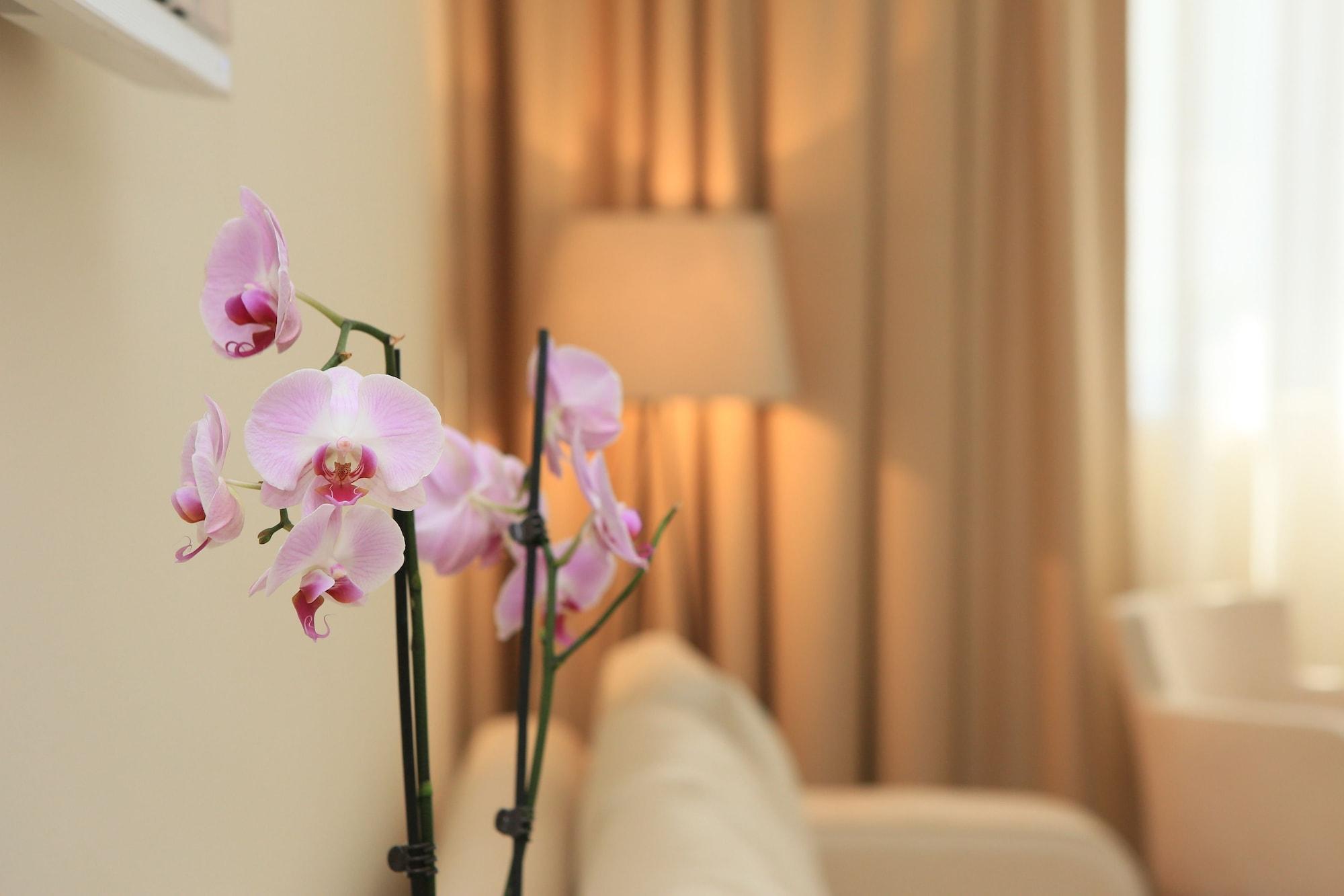 Set de Habitación Hotel Leone