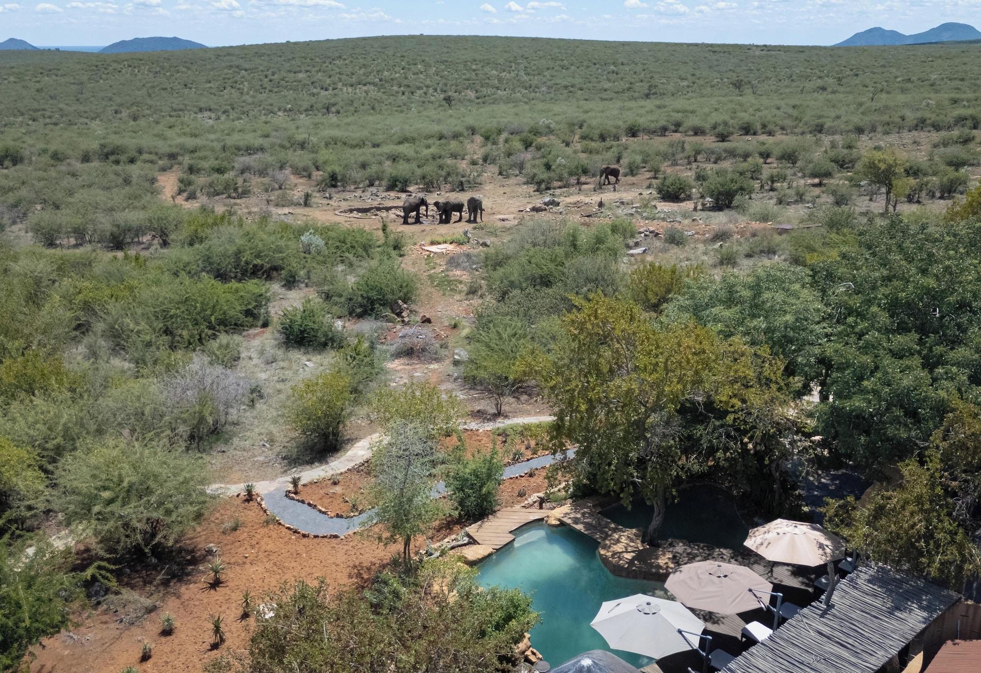 Vista Piscina Rhulani Safari Lodge