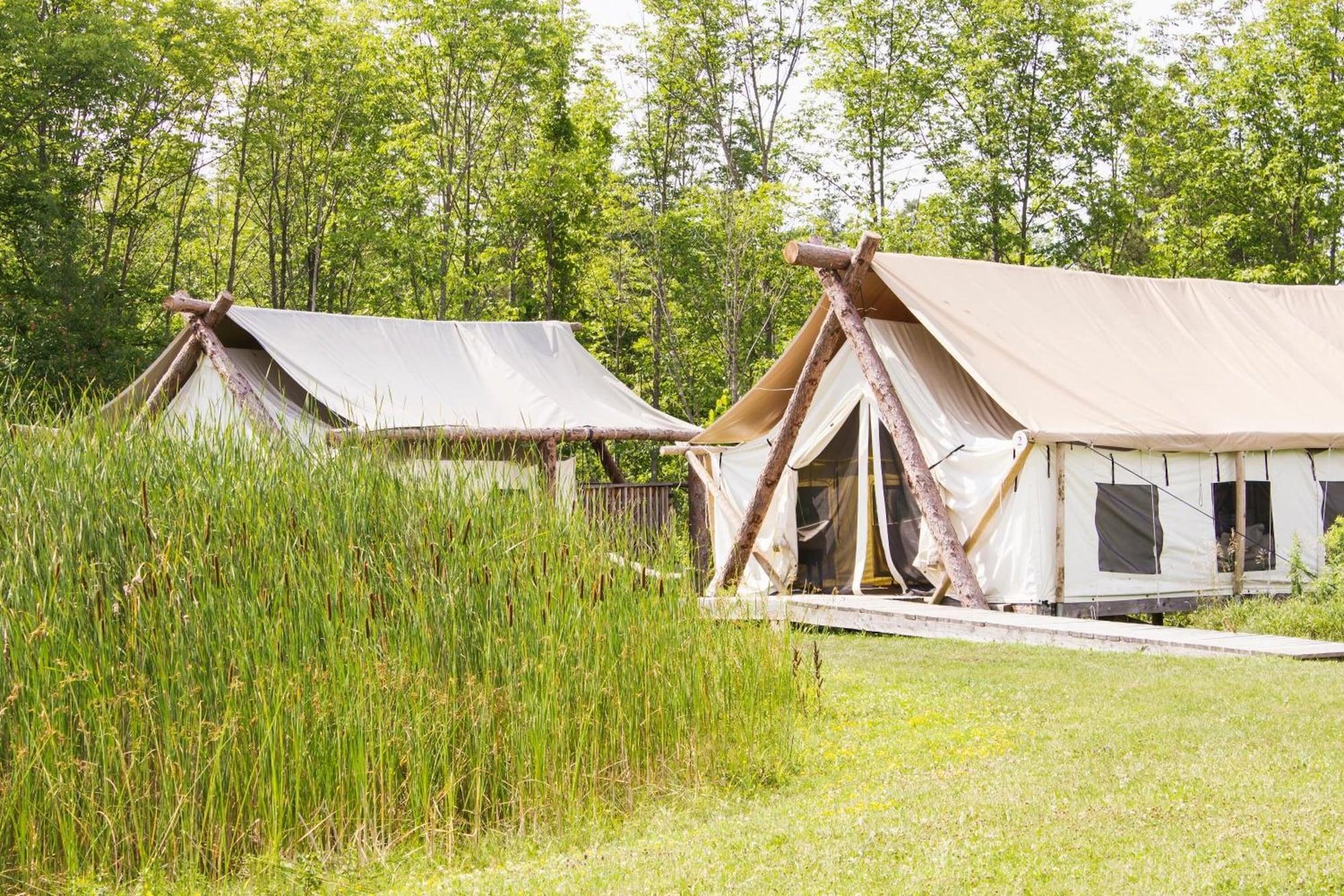 Vista Exterior Firelight Camps