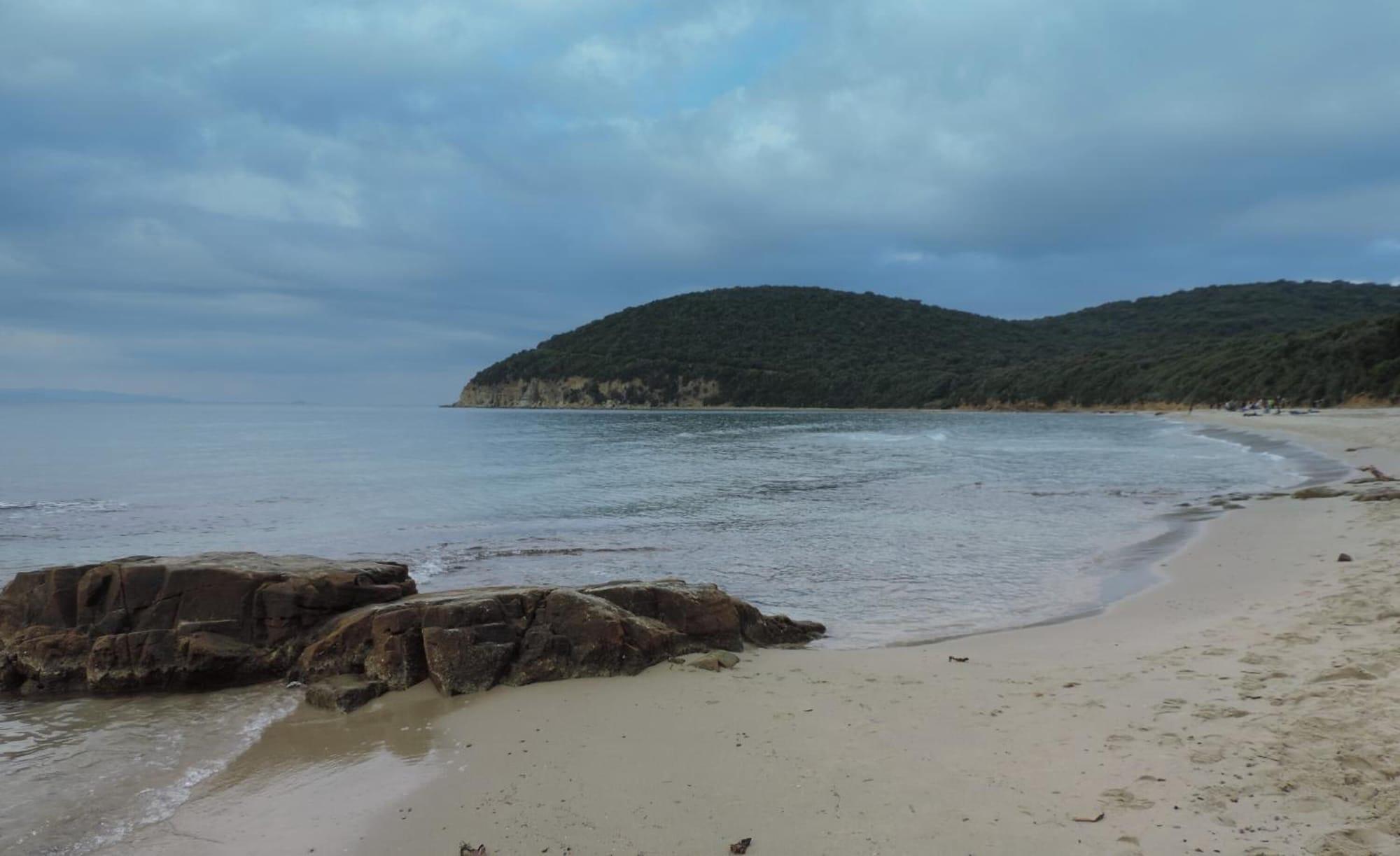 Playa Agriturismo Colli di Travale