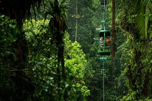 Actividad - Paseo en teleférico en el Rainforest Adventures Braulio Carrillo