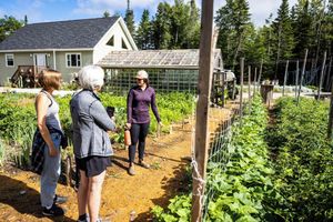 Alojamiento - Upper Humber Settlement A FarmStay BNB