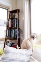 Alojamiento - Ultimate farmstay experience - 5 minutes from Jenolan