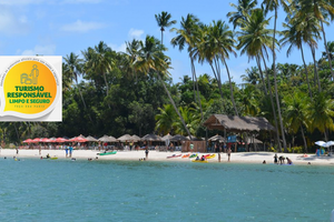 Actividad - Tour en Catamarán Carneiros + Transfer + StandUp Paddle