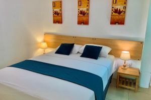 Alojamiento - Hotel Casa Latina