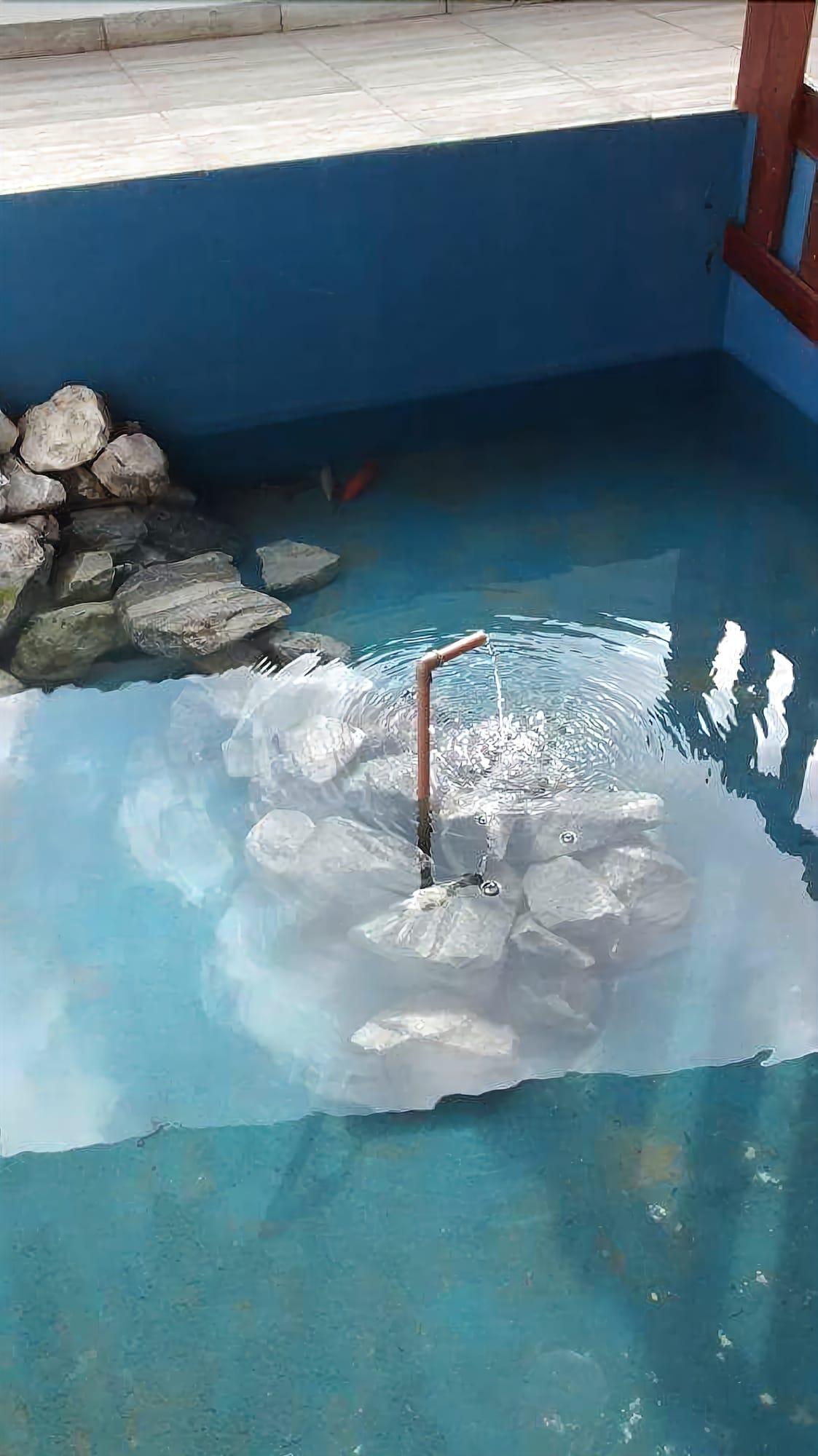 Comodidades del Alojamiento Pousada Vilarejo do Sapé