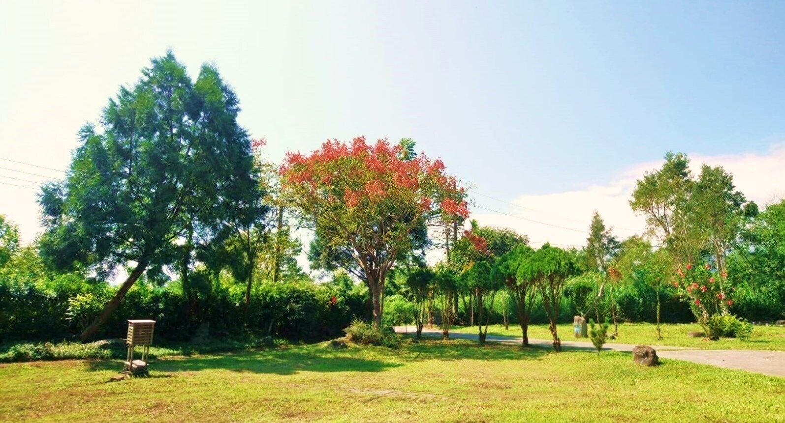 Comodidades del Alojamiento Green forest Homestay