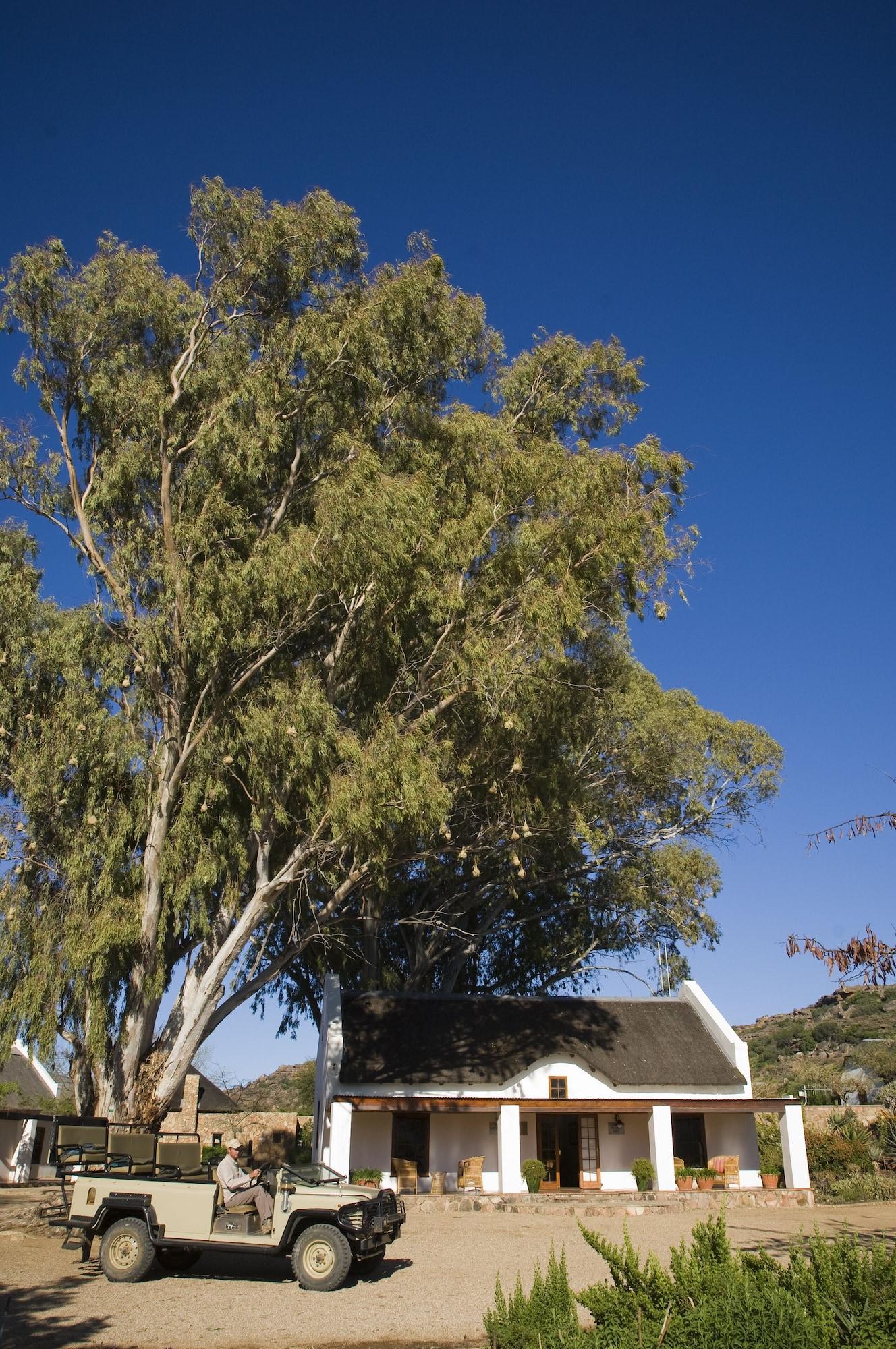 Vista Lobby Bushmans Kloof Wilderness Reserve