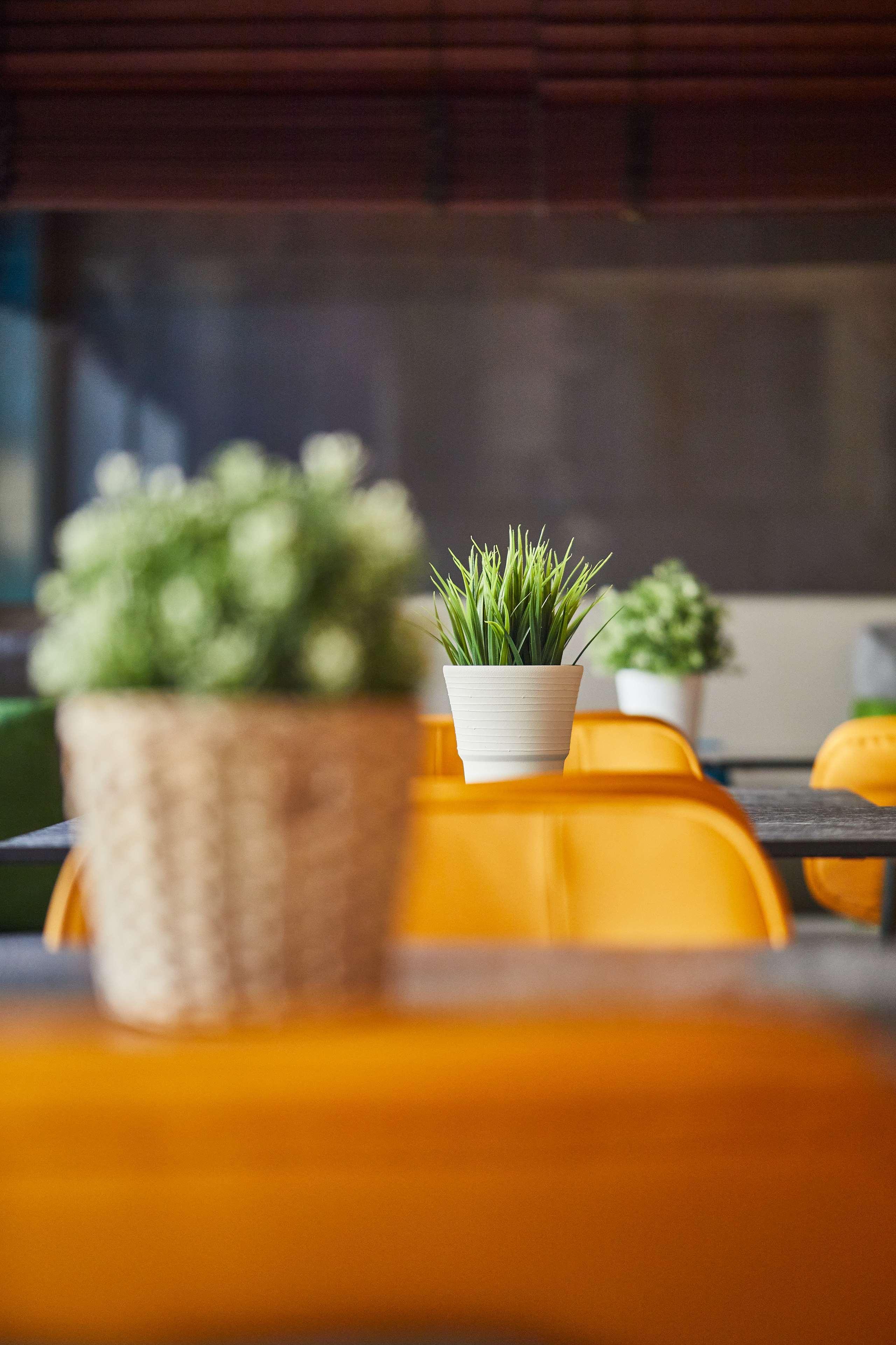 Varios Hotel Silken Luis de León