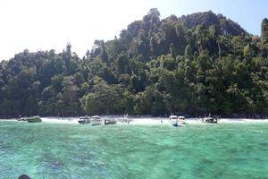 Actividad - Excursión a Phi Phi + Maya + Bamboo Island en lancha rápida