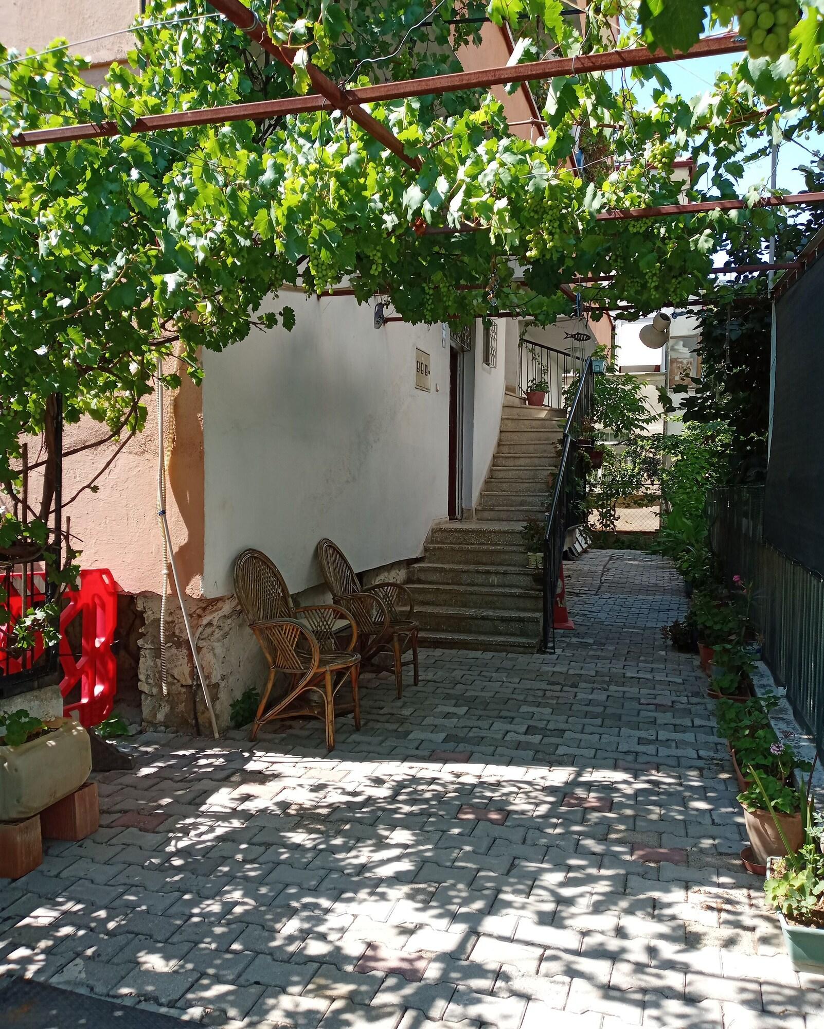 Vista Exterior Hzd Hostel