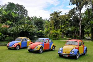 Actividad - Inhotim - Uno de los museos al aire libre más grandes del mundo