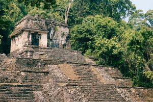 Actividad - Visita guiada por la zona arqueológica de Palenque
