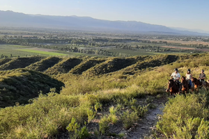 Actividad - Cabalgata con almuerzo y vista a la ciudad