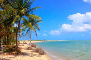 Actividad - Tou al Litoral Norte - Salida desde Porto de Galinhas