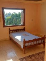Alquiler Vacacional - Spectacular view across the Nile, amazing location, Charming 2-bedroom apartment