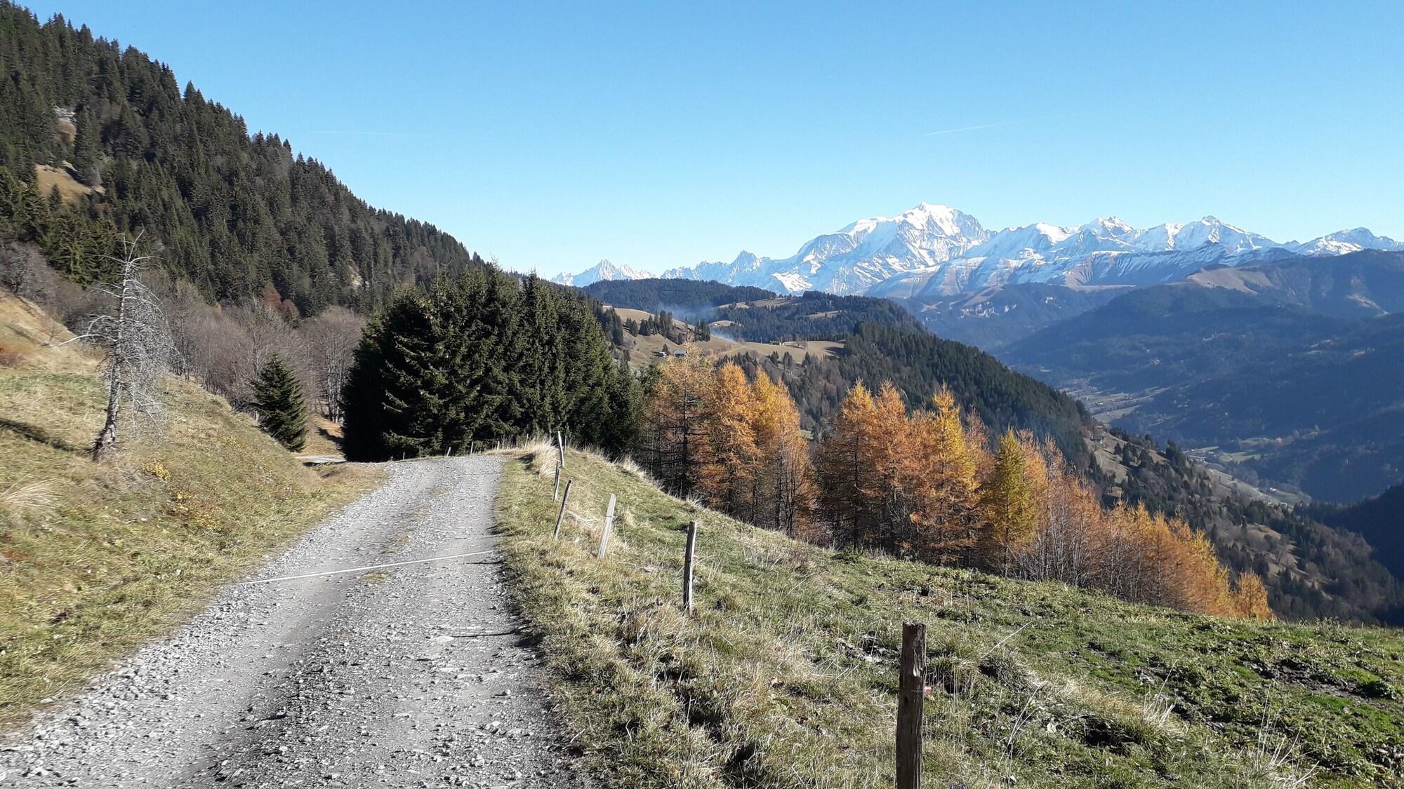 Vista Exterior Le MontBlanc Flumet