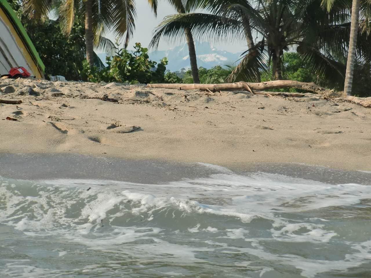 Playa La Rivera Playa Palomino