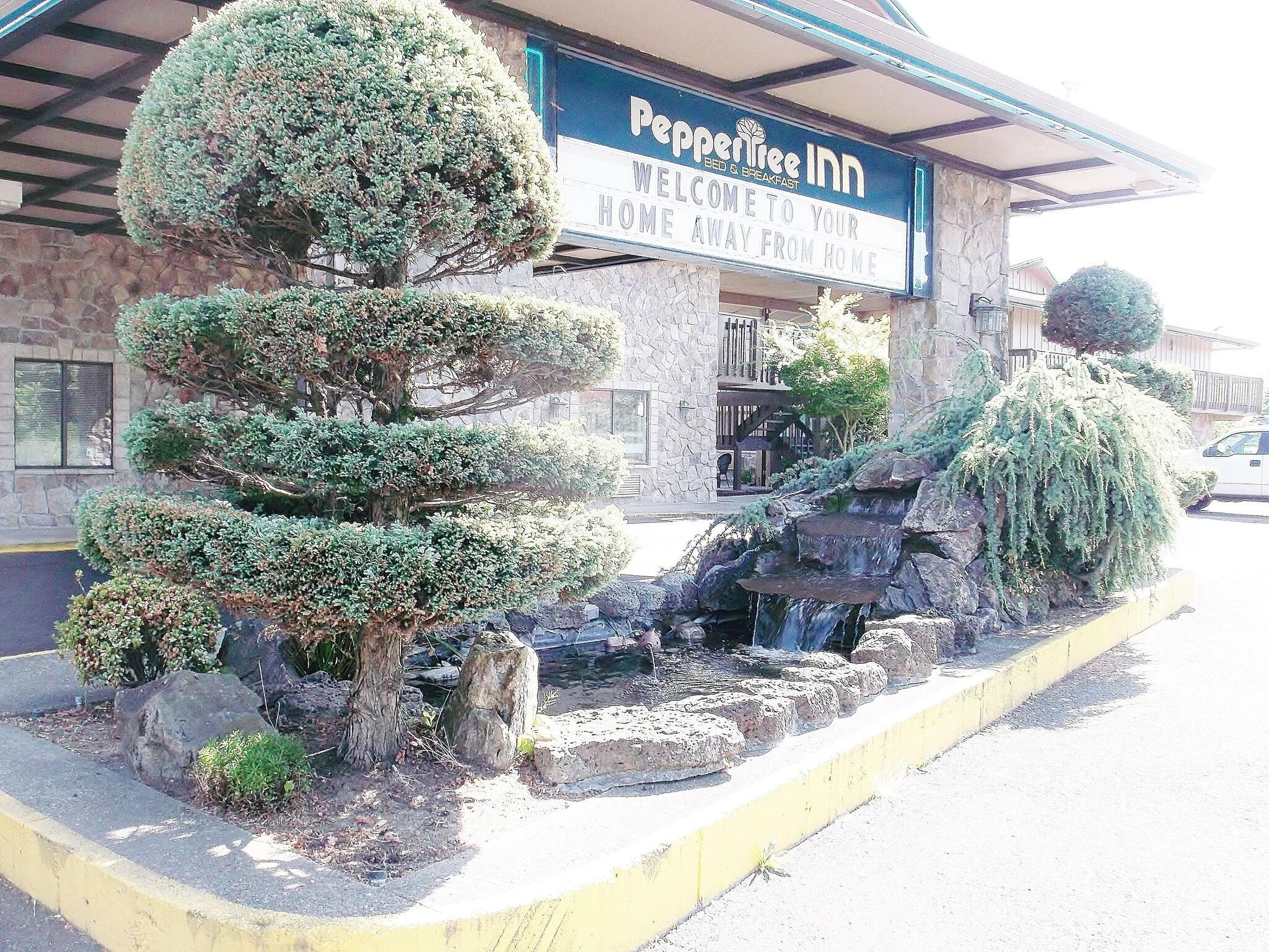 Vista Exterior PepperTree Inn