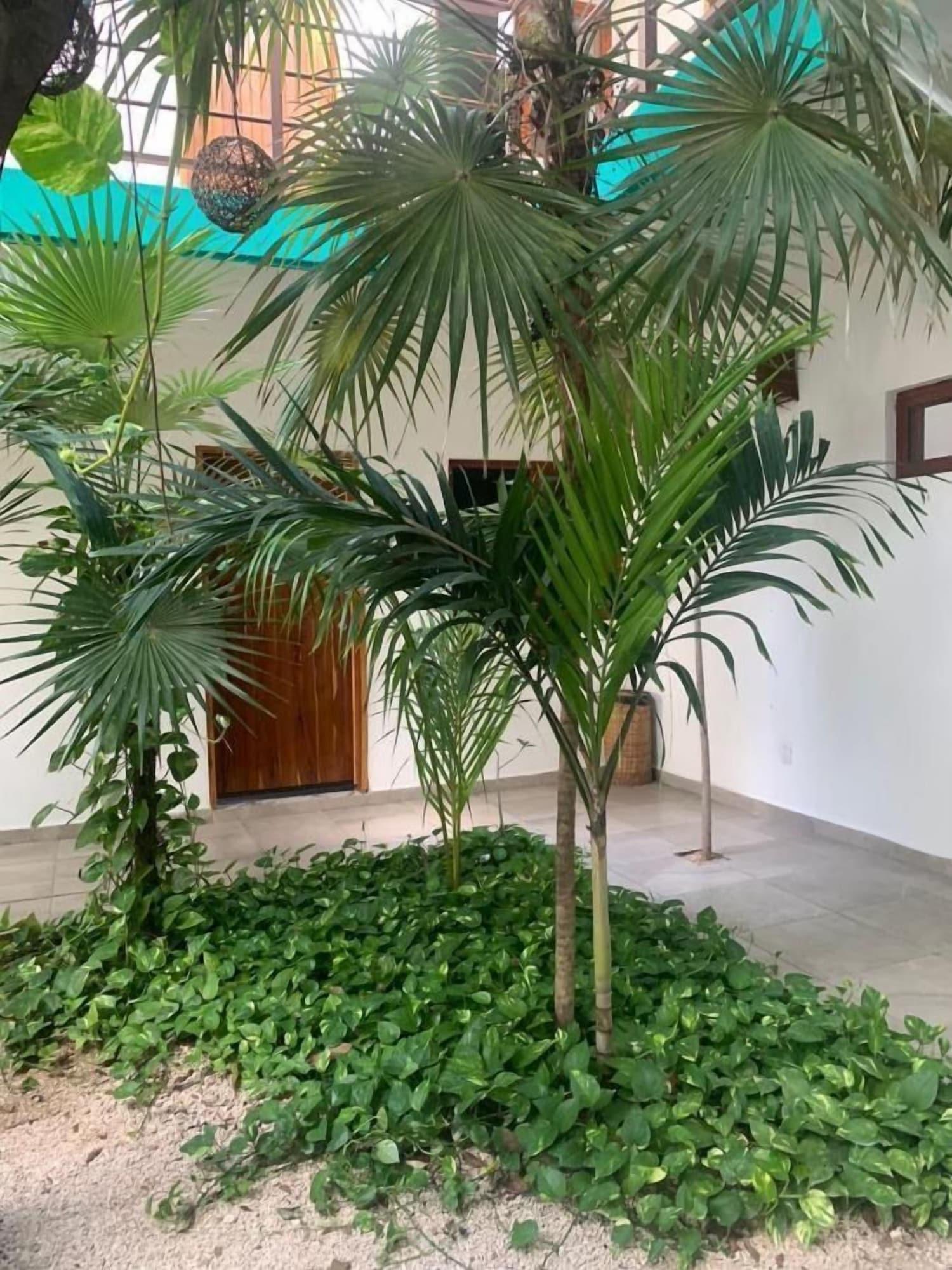 Comodidades del Alojamiento Hotel Centrico Tulum