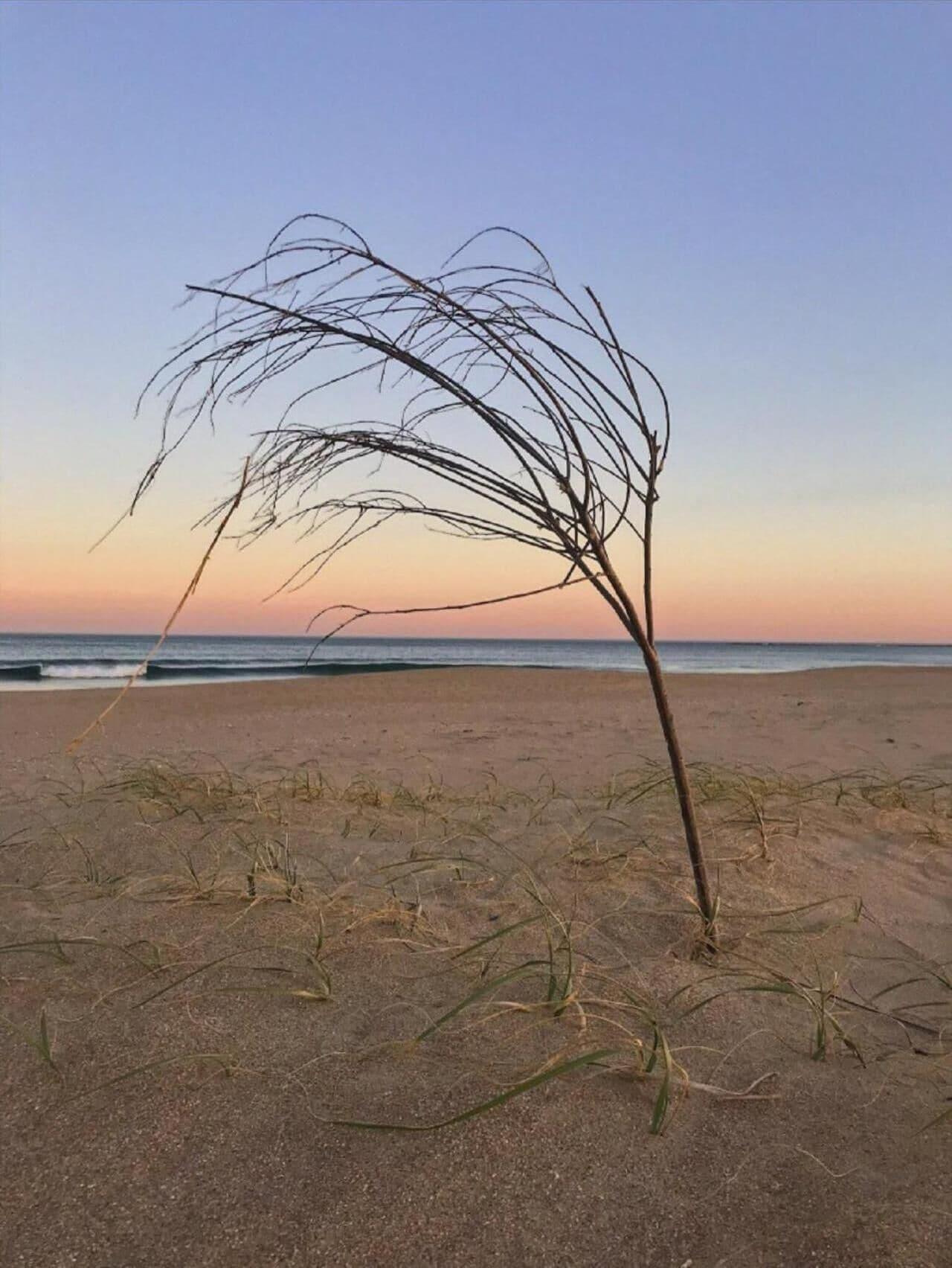 Playa Posada Azul Marino